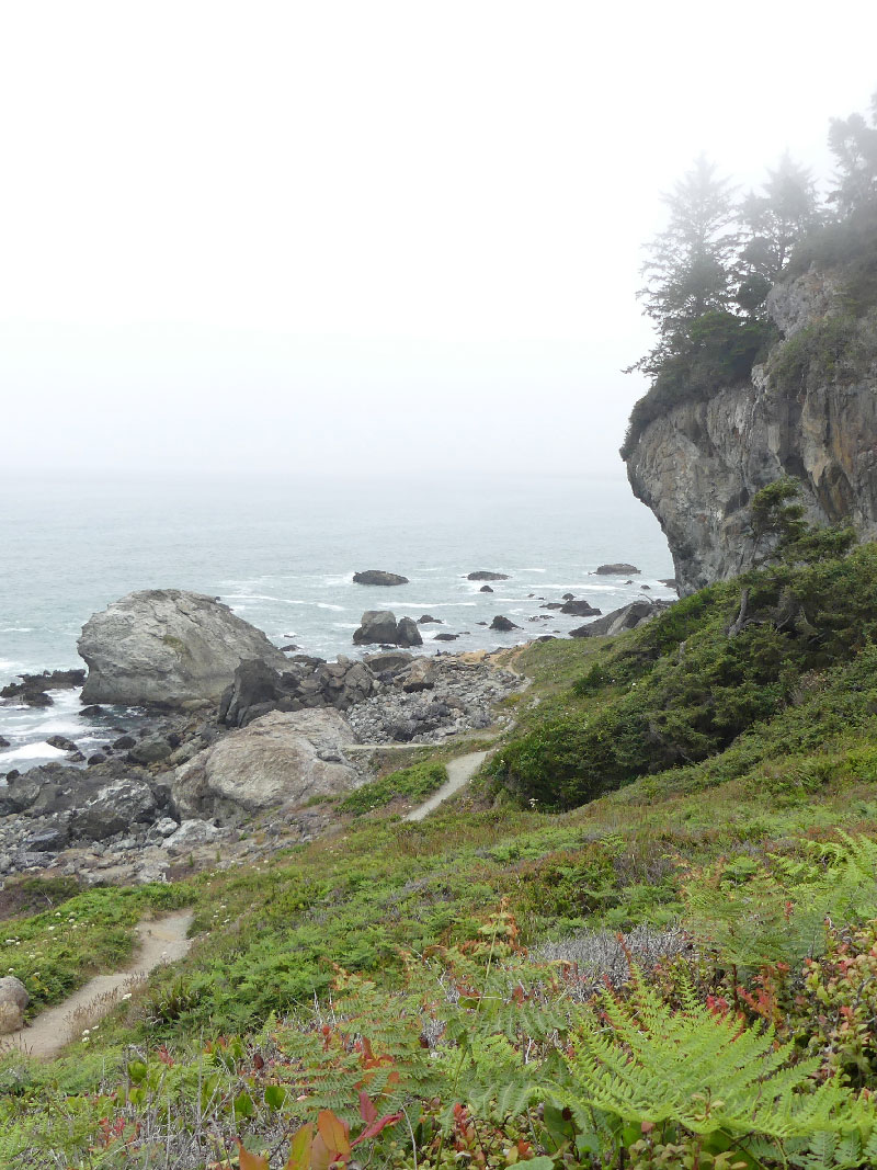 Nature Walks Rx - Darcy O'Brian Forest Bathing - Humboldt County