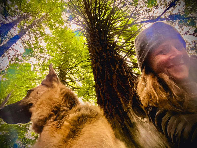 Darcy O'Brien - Nature Walks RX